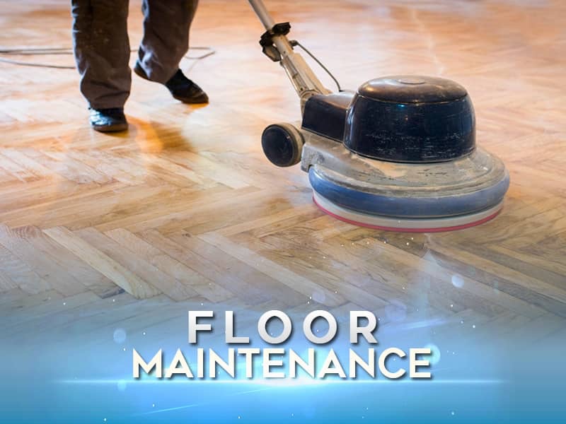 Floor Care & Stripping